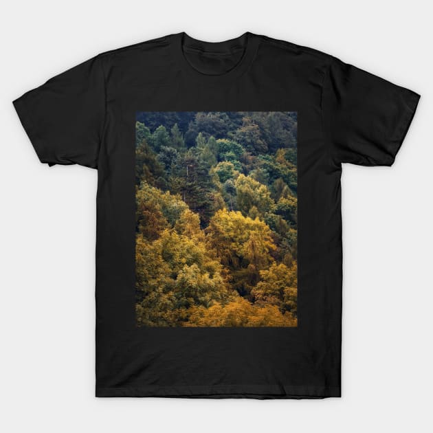 autumn trees texture T-Shirt by psychoshadow